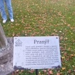 V�let do Nov�ho Ji��na,Plo�tinu a Vala�sk� Klobouky.